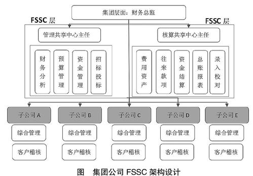 集团财务共享服务中心设计与管控研究——基于网络技术服务的视角